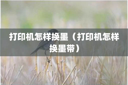 打印机怎样换墨（打印机怎样换墨带）