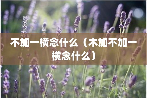 不加一横念什么（木加不加一横念什么）