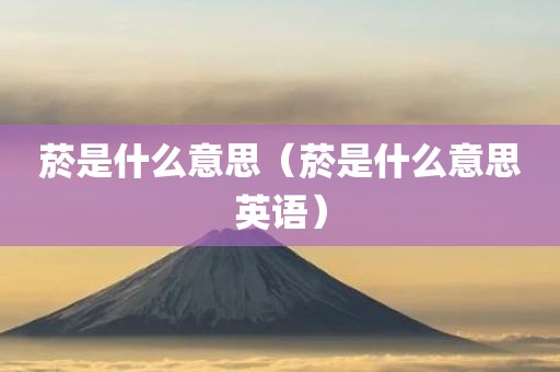 菸是什么意思（菸是什么意思英语）