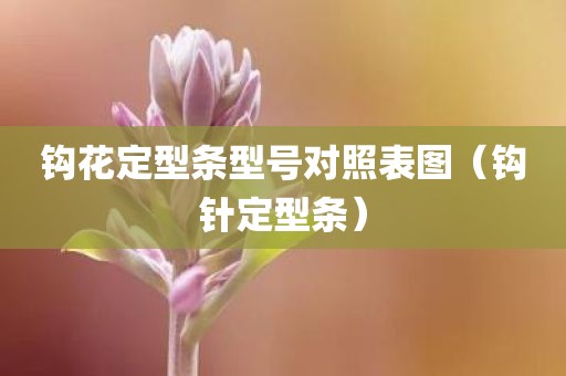 钩花定型条型号对照表图（钩针定型条）