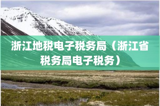 浙江地税电子税务局（浙江省税务局电子税务）