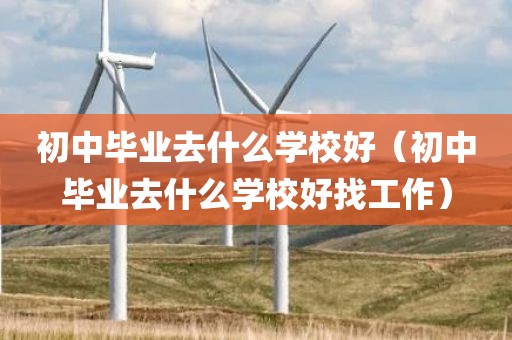 初中毕业去什么学校好（初中毕业去什么学校好找工作）
