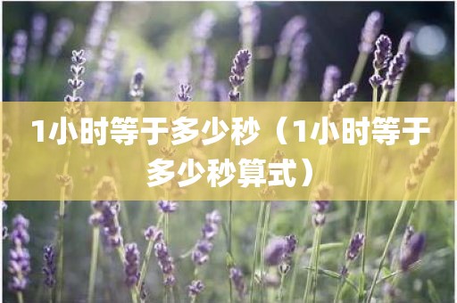 1小时等于多少秒（1小时等于多少秒算式）