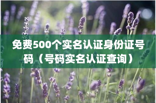 免费500个实名认证身份证号码（号码实名认证查询）