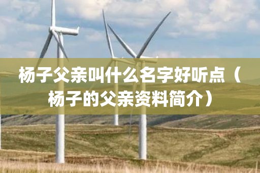 杨子父亲叫什么名字好听点（杨子的父亲资料简介）