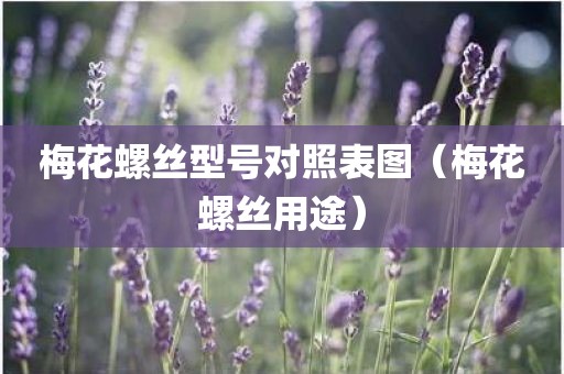 梅花螺丝型号对照表图（梅花螺丝用途）