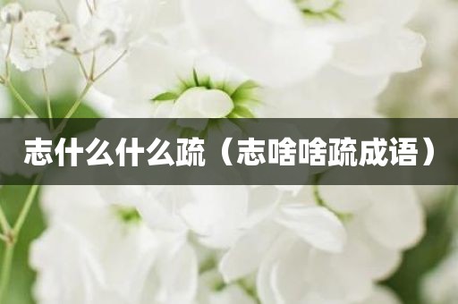 志什么什么疏（志啥啥疏成语）