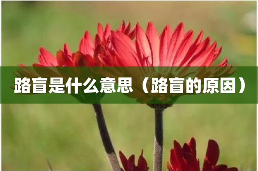 路盲是什么意思（路盲的原因）