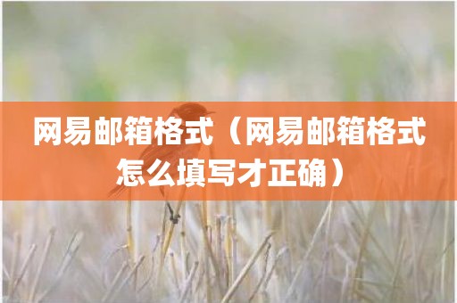 网易邮箱格式(网易邮箱格式怎么填写才正确) 网易邮箱格式(网易邮箱格式怎么填写才正确)
