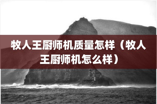 牧人王厨师机质量怎样（牧人王厨师机怎么样）
