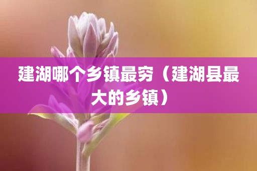 建湖哪个乡镇最穷（建湖县最大的乡镇）