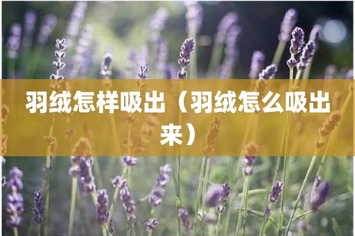 羽绒怎样吸出（羽绒怎么吸出来）