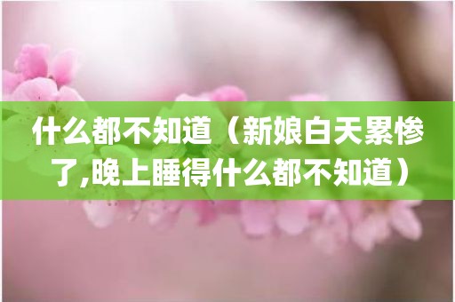 什么都不知道(新娘白天累惨了,晚上睡得什么都不知道)