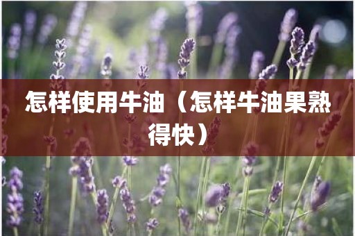怎样使用牛油（怎样牛油果熟得快）