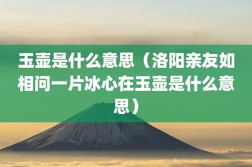 玉壶是什么意思（洛阳亲友如相问一片冰心在玉壶是什么意思）