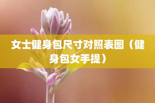 女士健身包尺寸对照表图（健身包女手提）