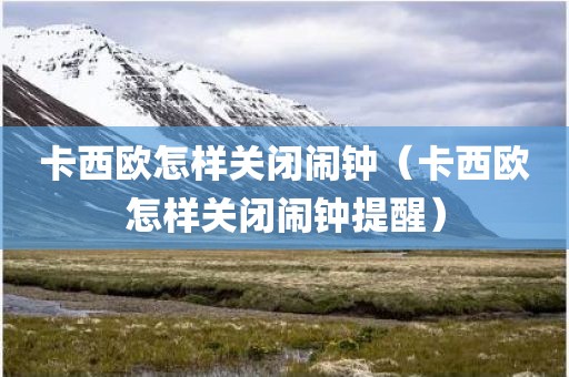卡西欧怎样关闭闹钟（卡西欧怎样关闭闹钟提醒）