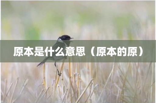 原本是什么意思(原本的原)