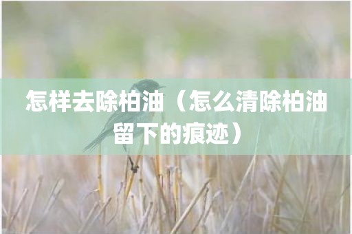 怎样去除柏油（怎么清除柏油留下的痕迹）
