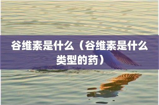 谷维素是什么(谷维素是什么类型的药)