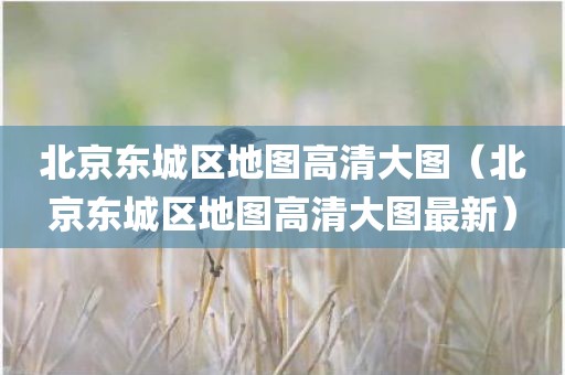 北京东城区地图高清大图（北京东城区地图高清大图最新）