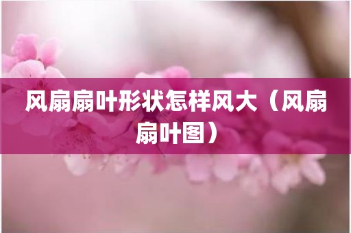 风扇扇叶形状怎样风大（风扇扇叶图）