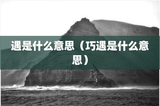 遇是什么意思（巧遇是什么意思）