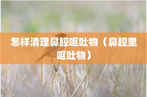 怎样清理鼻腔呕吐物（鼻腔里呕吐物）