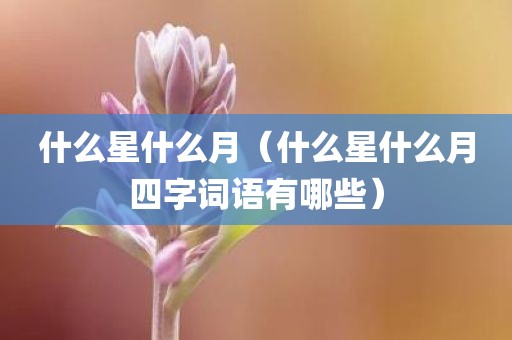 什么星什么月（什么星什么月四字词语有哪些）