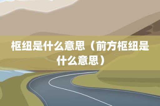 枢纽是什么意思（前方枢纽是什么意思）