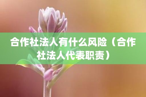 合作社法人有什么风险(合作社法人代表职责)