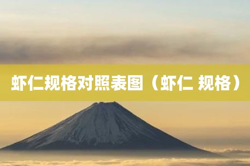 虾仁规格对照表图（虾仁 规格）