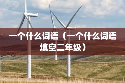 一个什么词语（一个什么词语填空二年级）
