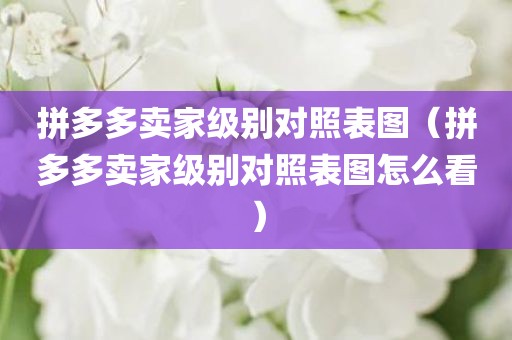 拼多多卖家级别对照表图（拼多多卖家级别对照表图怎么看）