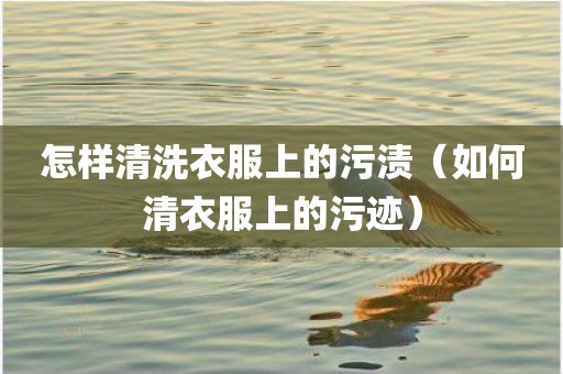 怎样清洗衣服上的污渍（如何清衣服上的污迹）