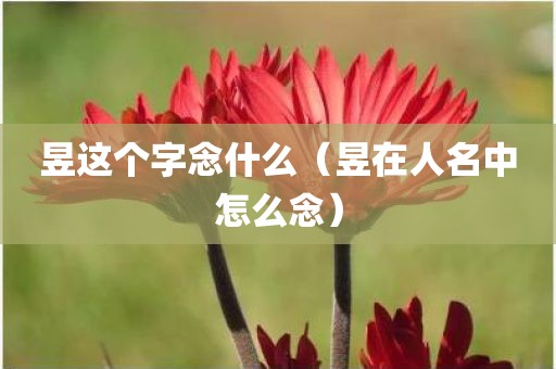 昱这个字念什么（昱在人名中怎么念）