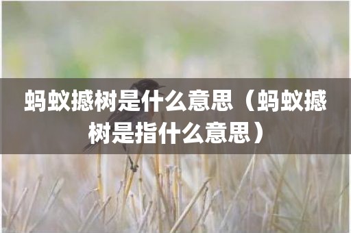 蚂蚁撼树是什么意思(蚂蚁撼树是指什么意思)