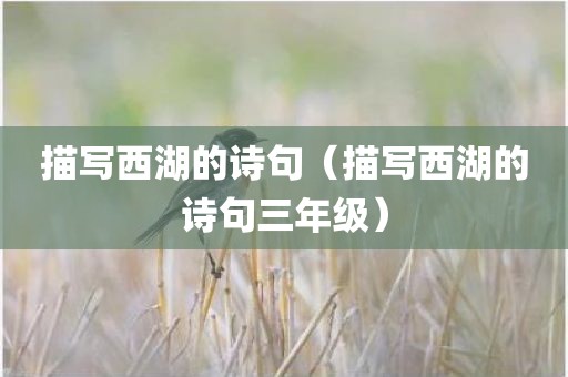 描写西湖的诗句（描写西湖的诗句三年级）