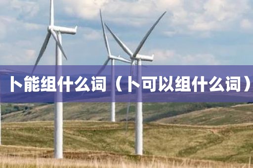 卜能组什么词（卜可以组什么词）