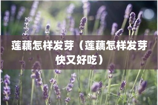 莲藕怎样发芽（莲藕怎样发芽快又好吃）