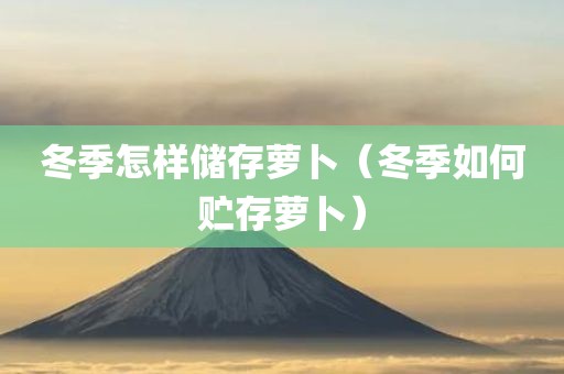 冬季怎样储存萝卜（冬季如何贮存萝卜）