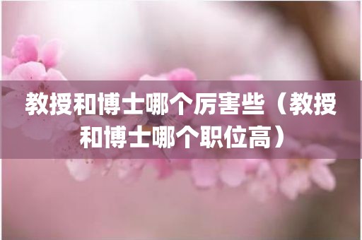 教授和博士哪个厉害些（教授和博士哪个职位高）