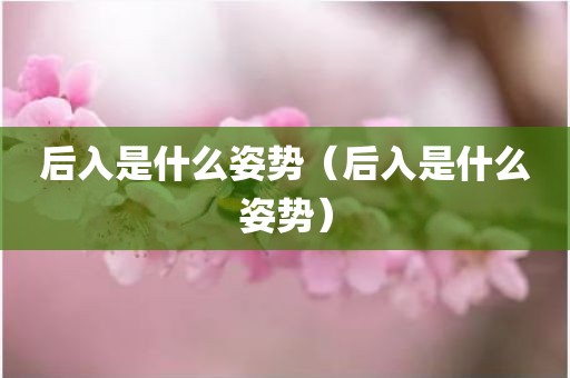 后入是什么姿势（后入是什么姿势）