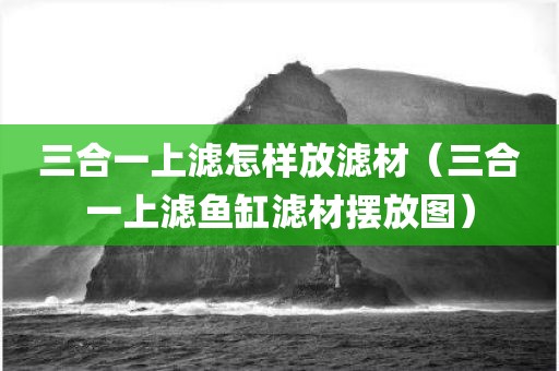 三合一上滤怎样放滤材（三合一上滤鱼缸滤材摆放图）