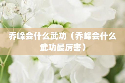 乔峰会什么武功（乔峰会什么武功最厉害）