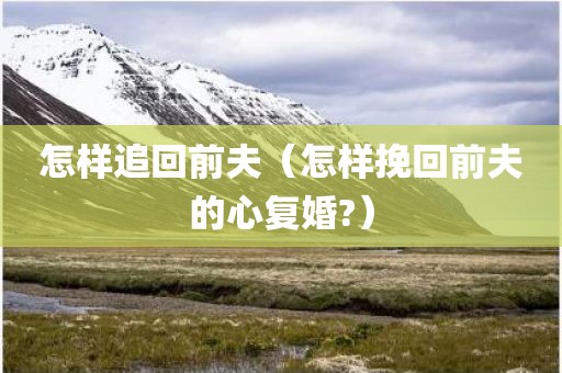 怎样追回前夫（怎样挽回前夫的心复婚?）