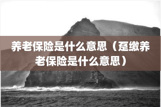 养老保险是什么意思（趸缴养老保险是什么意思）