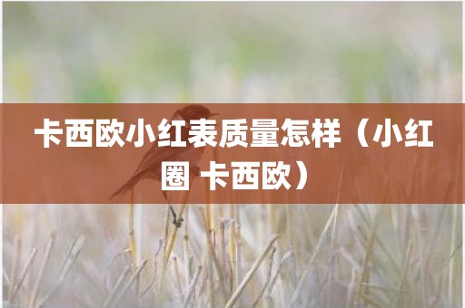 卡西欧小红表质量怎样（小红圈 卡西欧）