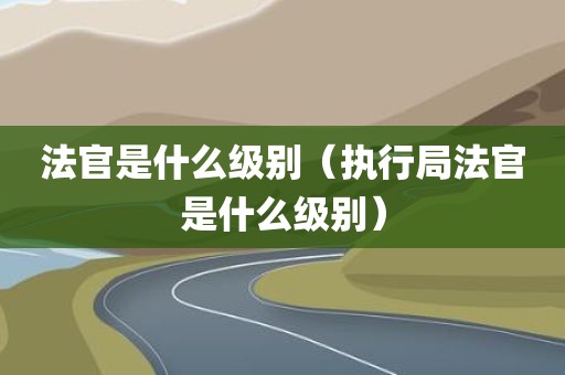 法官是什么级别（执行局法官是什么级别）
