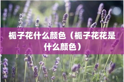 栀子花什么颜色（栀子花花是什么颜色）
